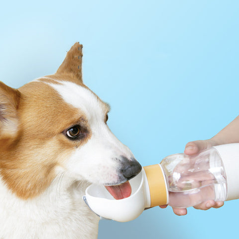 Water Cup Portable Walking Dog Drinking Water